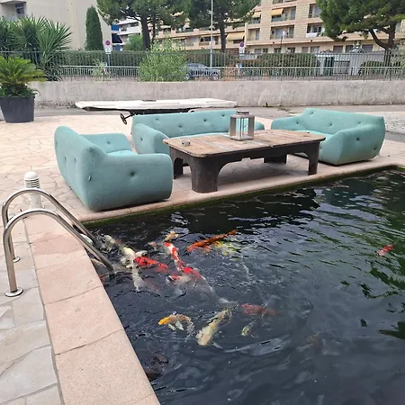 D Azur Appartement *